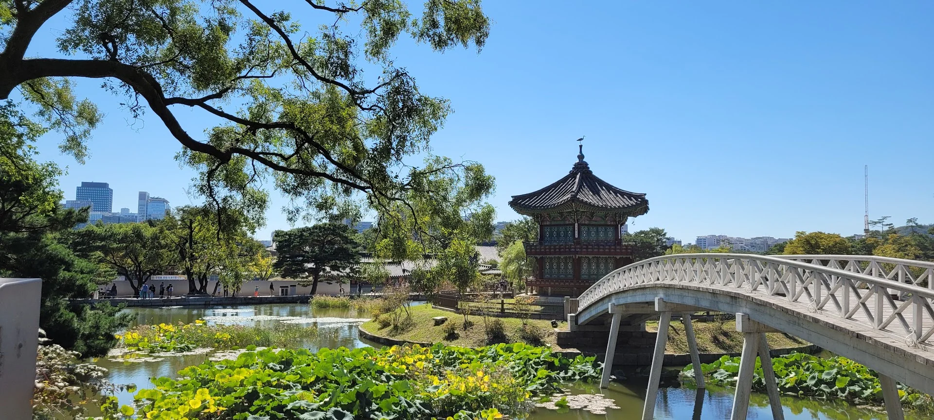 A traditional Korean pavilion and curved footbridge stand beside a lotus pond with modern Seoul beyond.
